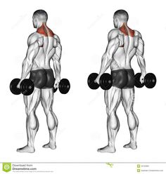 an image of a man doing dumbbell exercises with the words dumbbell shoulder shrung