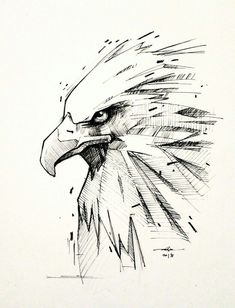 a drawing of an eagle's head is shown in black and white ink on paper