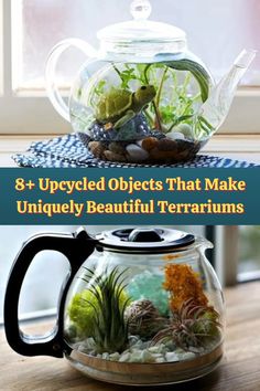 three different types of terrariums with text overlay that reads 8 upcycled objects that make uniquely beautiful terrariums