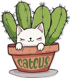 a white cat is sitting in a cactus pot with its eyes closed and it's head resting on top of the cacti