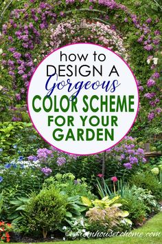 a garden with purple flowers and the words how to design a gorgeous color scheme for your garden