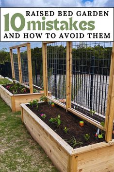 raised bed garden with plants and flowers in the middle, text overlay reads 10 misstakes and how to avoid them