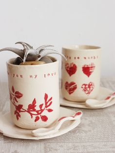 two cups and saucers with plants in them