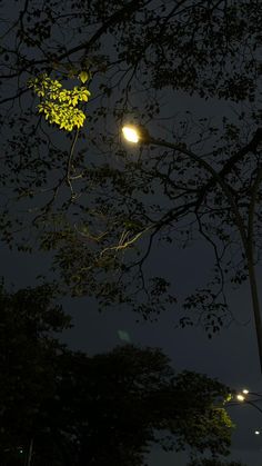 a street light shines brightly in the night sky above some trees and lights on poles