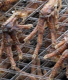 octopus legs are being cooked on a grill