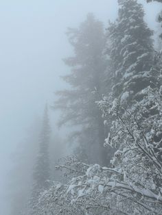 Trees in the fog on the mountains January 1st Aesthetic, Snowy Sky Aesthetic, February Winter Aesthetic, January Aethestic, Winter Aesthetic Nature, Winter Fae Aesthetic, February Aesthetic Photography