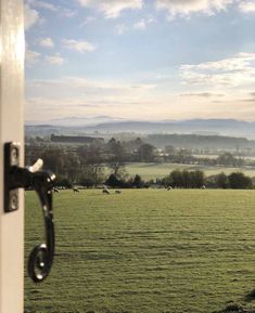 a field with sheep grazing in the distance from an open door that has a handle on it