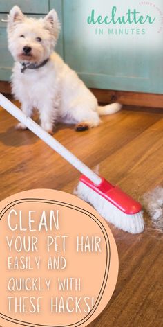 a small white dog sitting on the floor next to a cleaning brush and duster that says clean your pet hair easily and quickly with these hacks