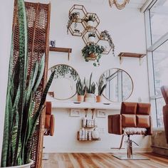 a room with chairs, mirrors and plants on the wall