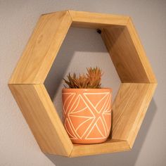 a potted plant is sitting in a hexagonal wooden holder on the wall