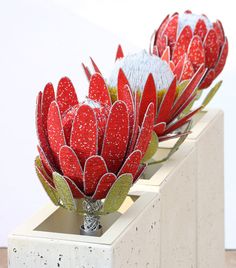 two red flowers sitting on top of cement blocks