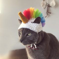 a gray cat wearing a crocheted hat with a rainbow horn on it's head