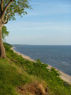 a bench sitting on top of a lush green hillside next to the ocean and beach