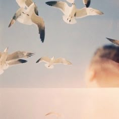 a baby looking at birds flying in the sky