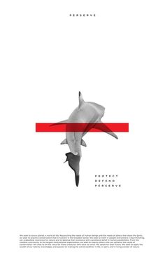 a white and red poster with a shark on it's side, in the middle of an abstract design