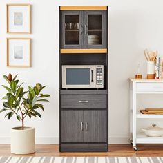 a microwave oven sitting on top of a wooden cabinet next to a potted plant