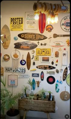 there are many surfboards on the wall