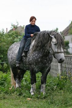 a woman riding on the back of a gray horse