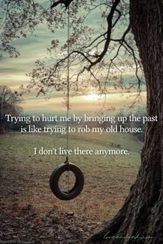 a tire swing hanging from a tree in front of a sunset