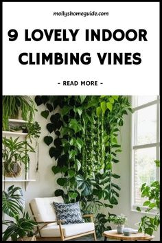 a living room filled with lots of green plants and greenery on the wall, next to a window