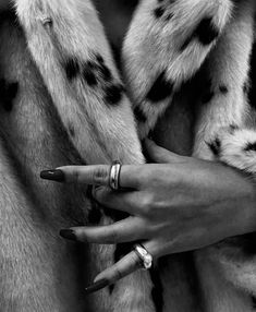 black and white photograph of woman's hands with rings on her fingers, wearing a fur coat