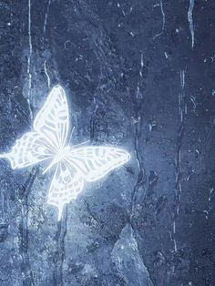 a white butterfly sitting on top of a rock covered in raindrops and ice