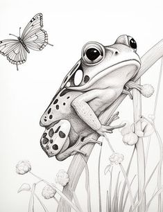 Brain-Boosting Frog Coloring Pages - Smart Play Whimsical Art Drawings, Frog Outline, Black Panther Drawing, Turtle Coloring Pages