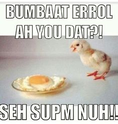 a chicken standing next to a plate with an egg on it and the words bumaat errol ah you dat? seh summ nuh