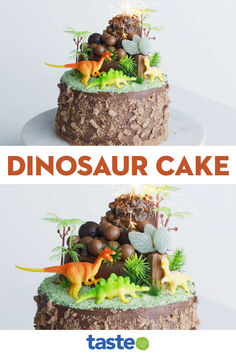 there is a cake with dinosaurs on it and the words dinosaur cake written in large letters