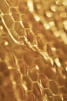 a close up view of honeycombs with the light reflecting off them in the background