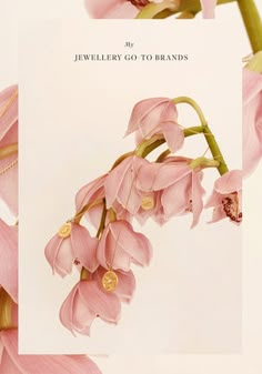 an illustration of pink flowers and leaves on a white background with the words jewelry go to brands