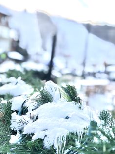 snow covered evergreen branches in front of a building