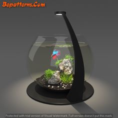 an aquarium with rocks and plants in it is displayed on a black plate that says, protectter com