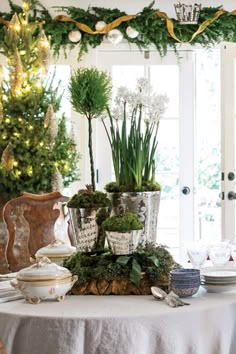 a table topped with potted plants on top of a white table cloth covered table