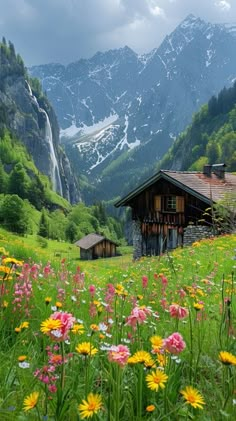 a house in the middle of a field with wildflowers and mountains in the background