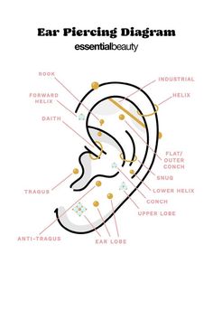 the ear piercing diagram is shown with all its parts labeled in red and yellow text