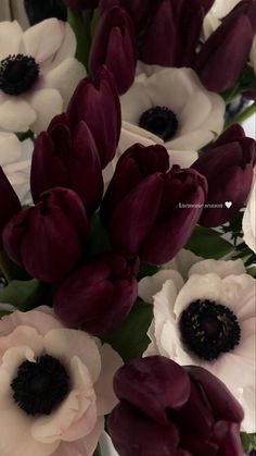 a bunch of white and red flowers in a vase with green leaves on the side