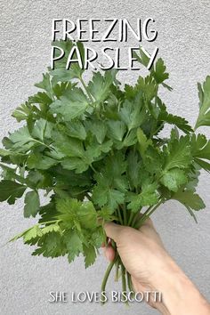 a person holding up a bunch of parsley in front of a white wall with the words freezing parsley above it