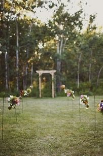 a bunch of flowers that are sitting in the grass