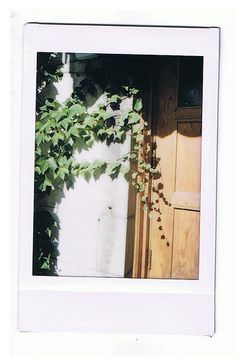 an open door with vines growing on it's side and a white building in the background