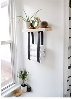 two towels hanging on the wall next to a potted plant and some other items