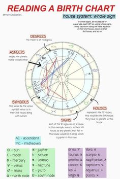 the birth chart for an astro sign