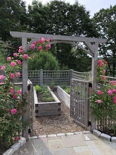 an outdoor garden with pink flowers and trellis