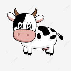 a black and white cow with big eyes