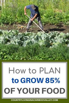 a man digging in the garden with text overlay how to plan to grow 85 % of your food