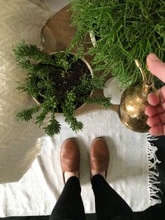 a person standing next to a potted plant on top of a white towel with their feet up