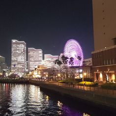 the ferris wheel is lit up at night over the water in front of some buildings