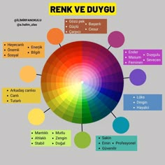 a color wheel with different colors and names in each section, including red, yellow, green