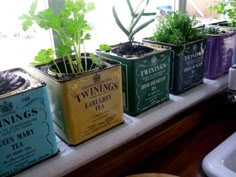 several tins with plants in them sitting on a window sill