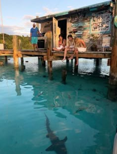 two people are sitting on a dock with a shark swimming in the water near them